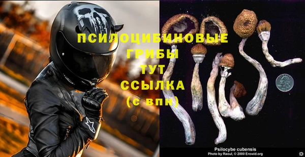 шишки Абдулино