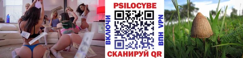 OMG онион  наркошоп  Таштагол  Псилоцибиновые грибы Psilocybine cubensis 